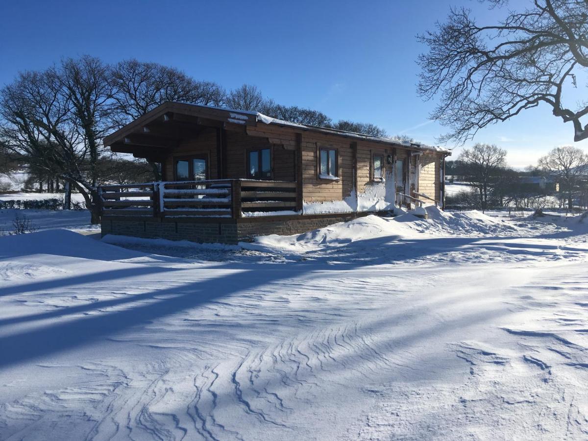 Redwood Lodge Ludlow Eksteriør bilde