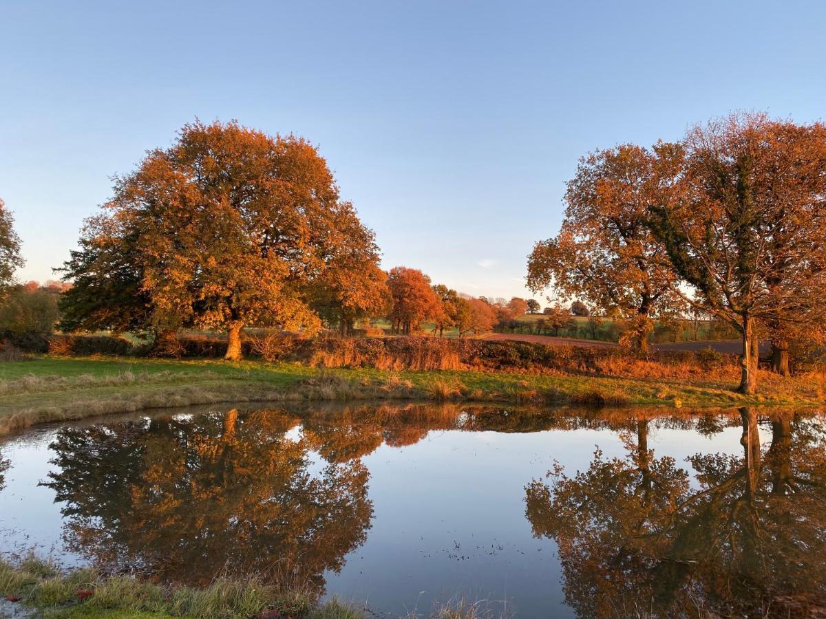 Redwood Lodge Ludlow Eksteriør bilde